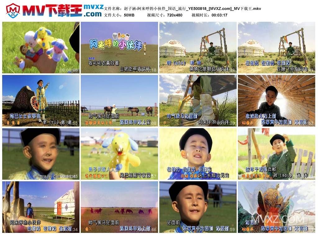 赵子涵-阿来呼的小伙伴_国语_流行_YE500818